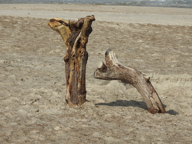 Strandgut-Die zwei aus dem Meer