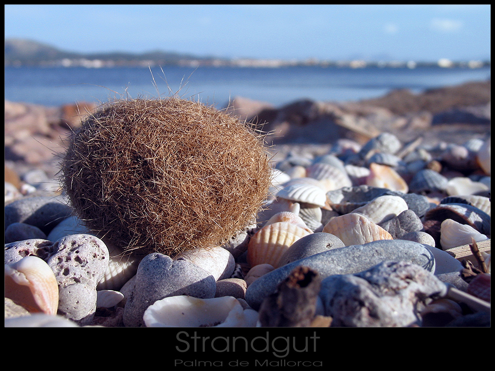 Strandgut