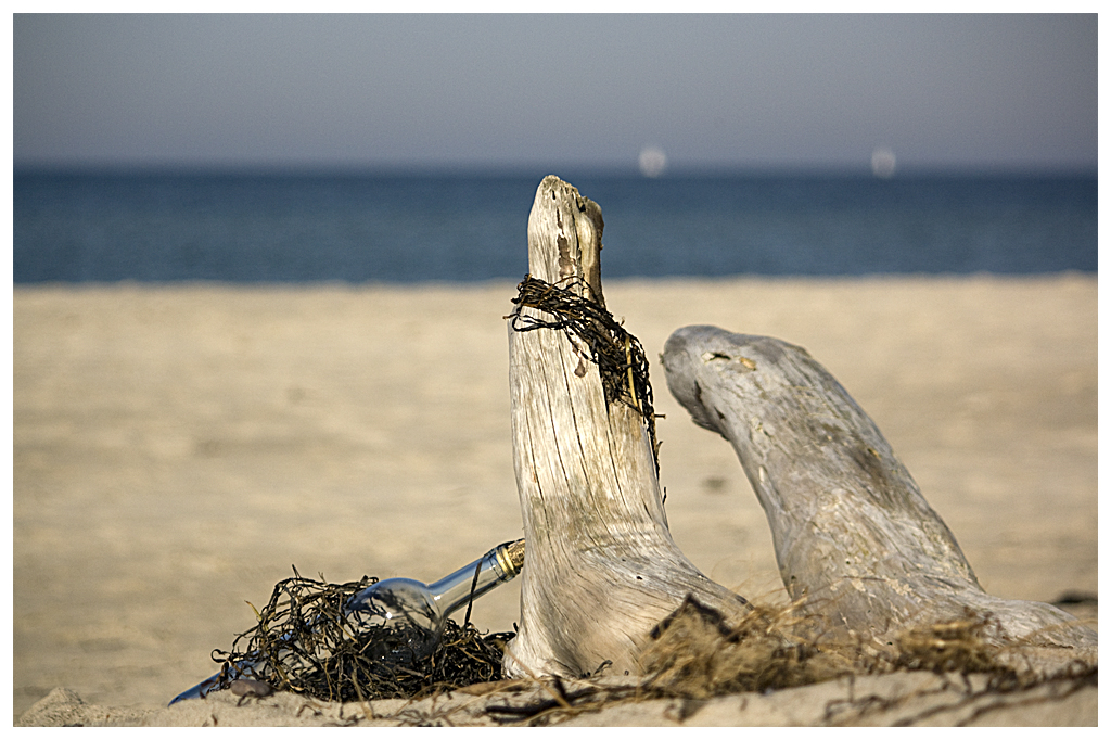 Strandgut