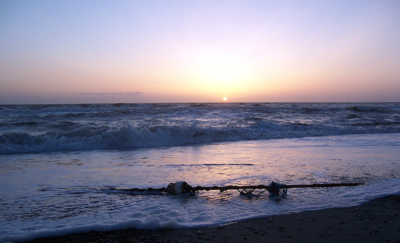 Strandgut