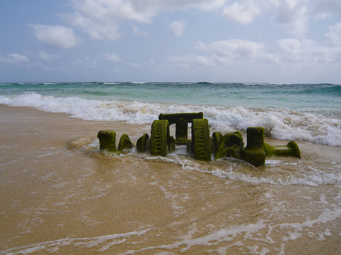 Strandgut eines Schiffswracks