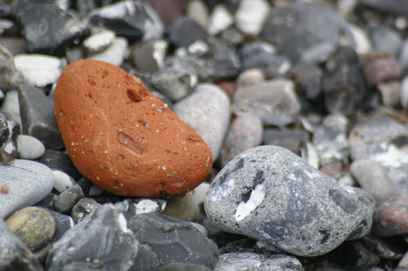 Strandgut