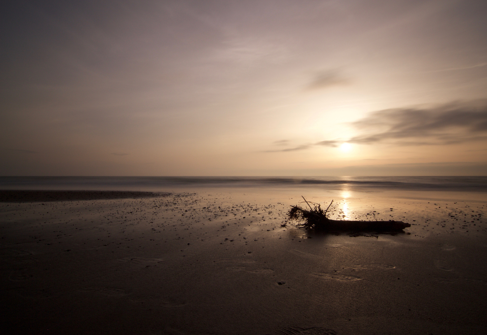 Strandgut