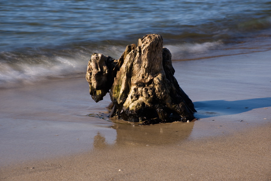 Strandgut