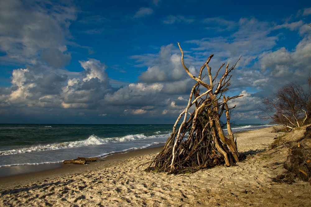 Strandgut