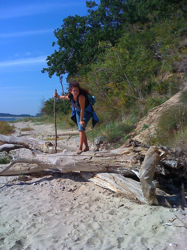 Strandgut gefunden