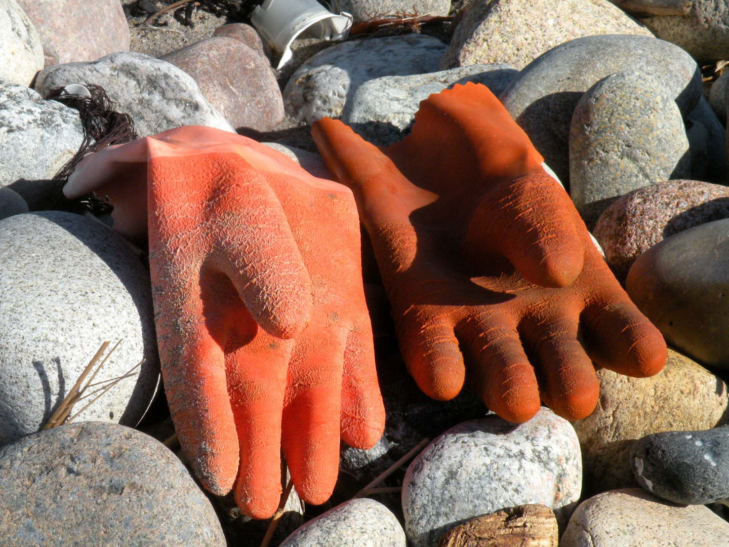 Strandgut ! Gummihandschuhe findet man häufig am Strand.