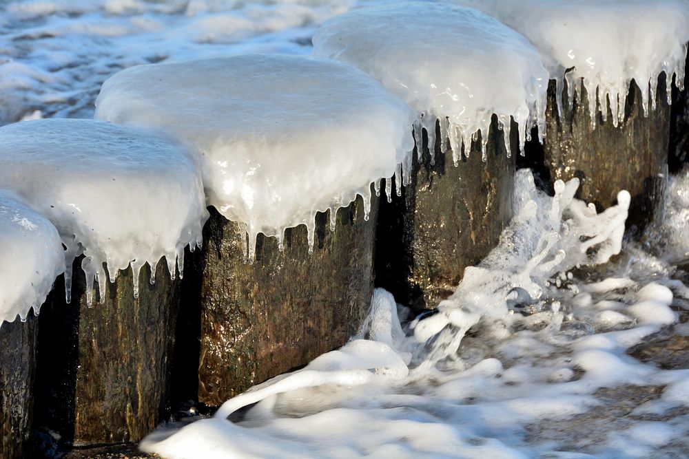 Strandgut II