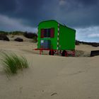 Strandgut im Sand