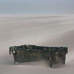 Strandgut im Sandsturm