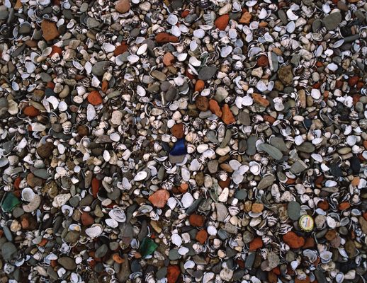 Strandgut in Kaiserswerth