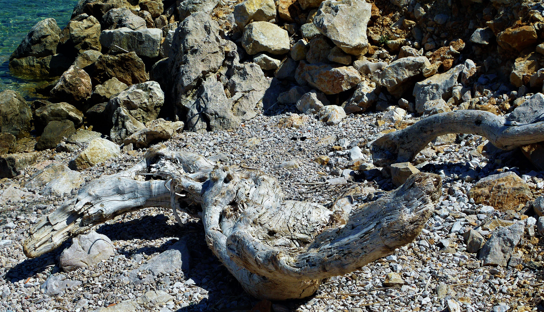 Strandgut in Kroatien- Urlaub auf Rab 2018