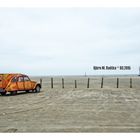 Strandgut in St. Peter Ording