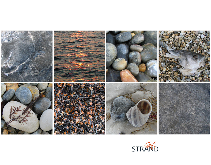 Strandgut & Meer