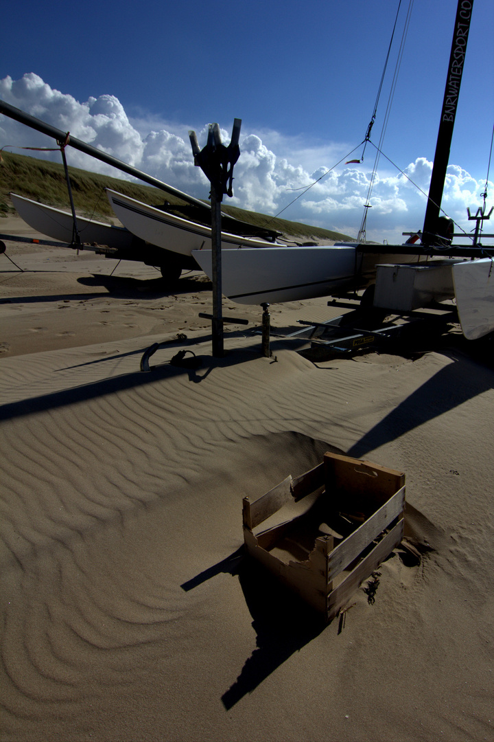 Strandgut mit Schatten...