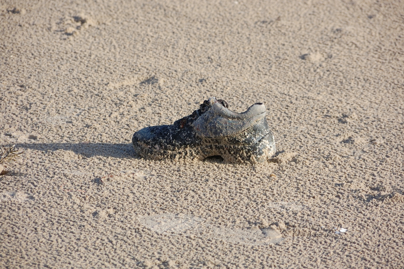 Strandgut mit Spuren