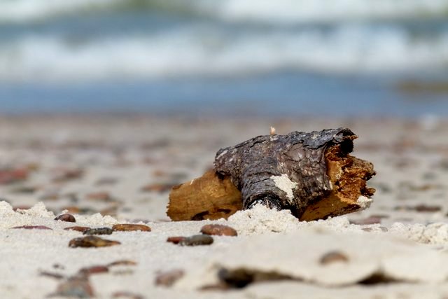 Strandgut nich geschliffen