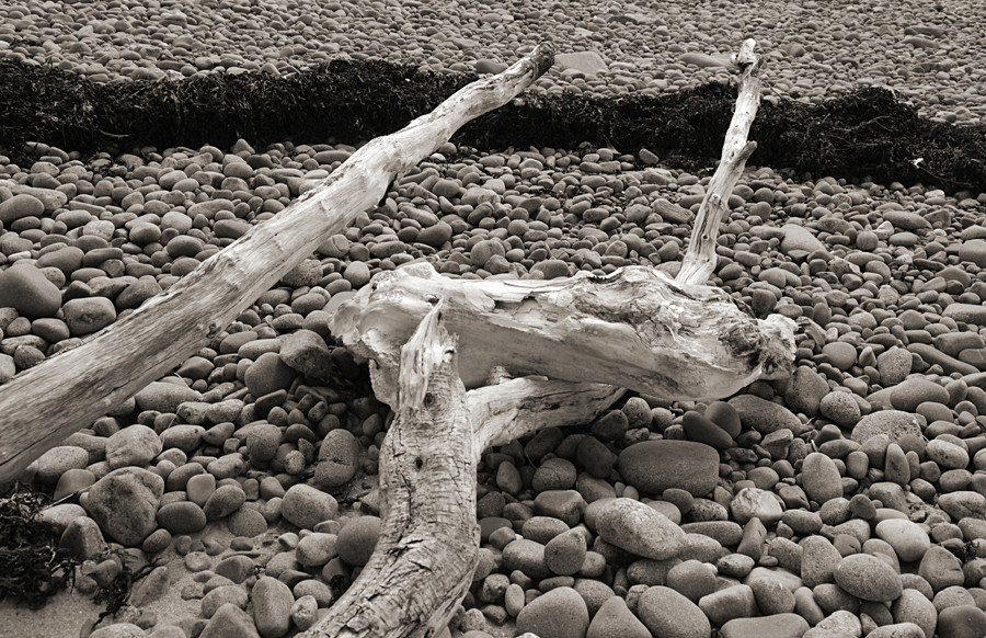 Strandgut - Redpoint Beach - Torridon