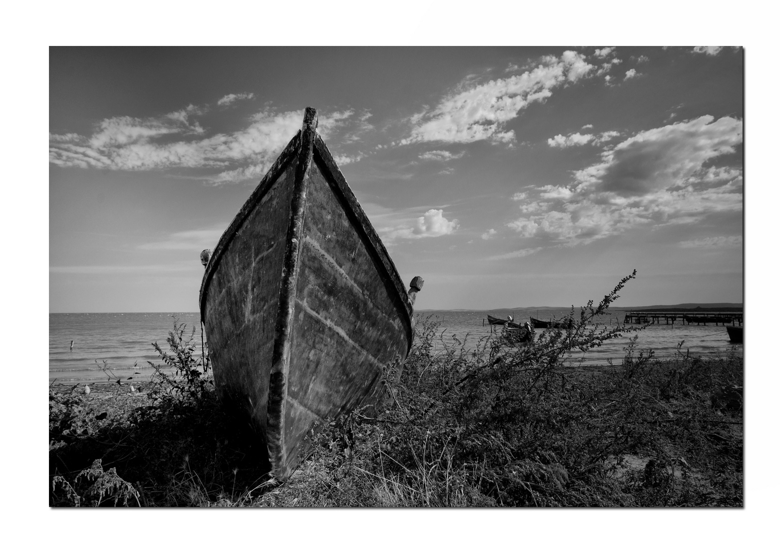 Strandgut - schwarzes Meer