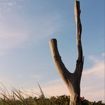 Strandgut - Sylt