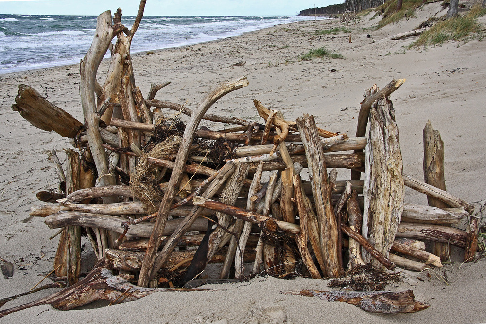 Strandgut Weststrand Darß