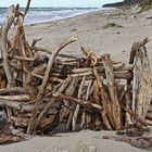 Strandgut Weststrand Darß