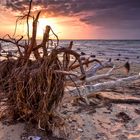 Strandgut,Insel Poel