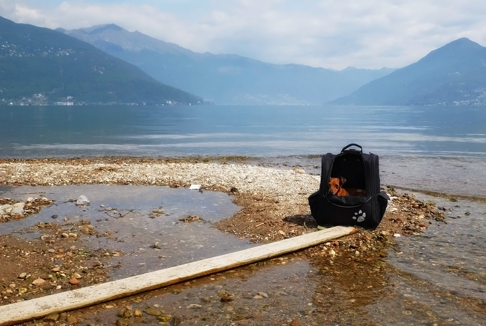 Strandhäusle mit Seezugang :)