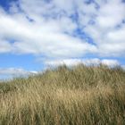 Strandhafer und Himmel