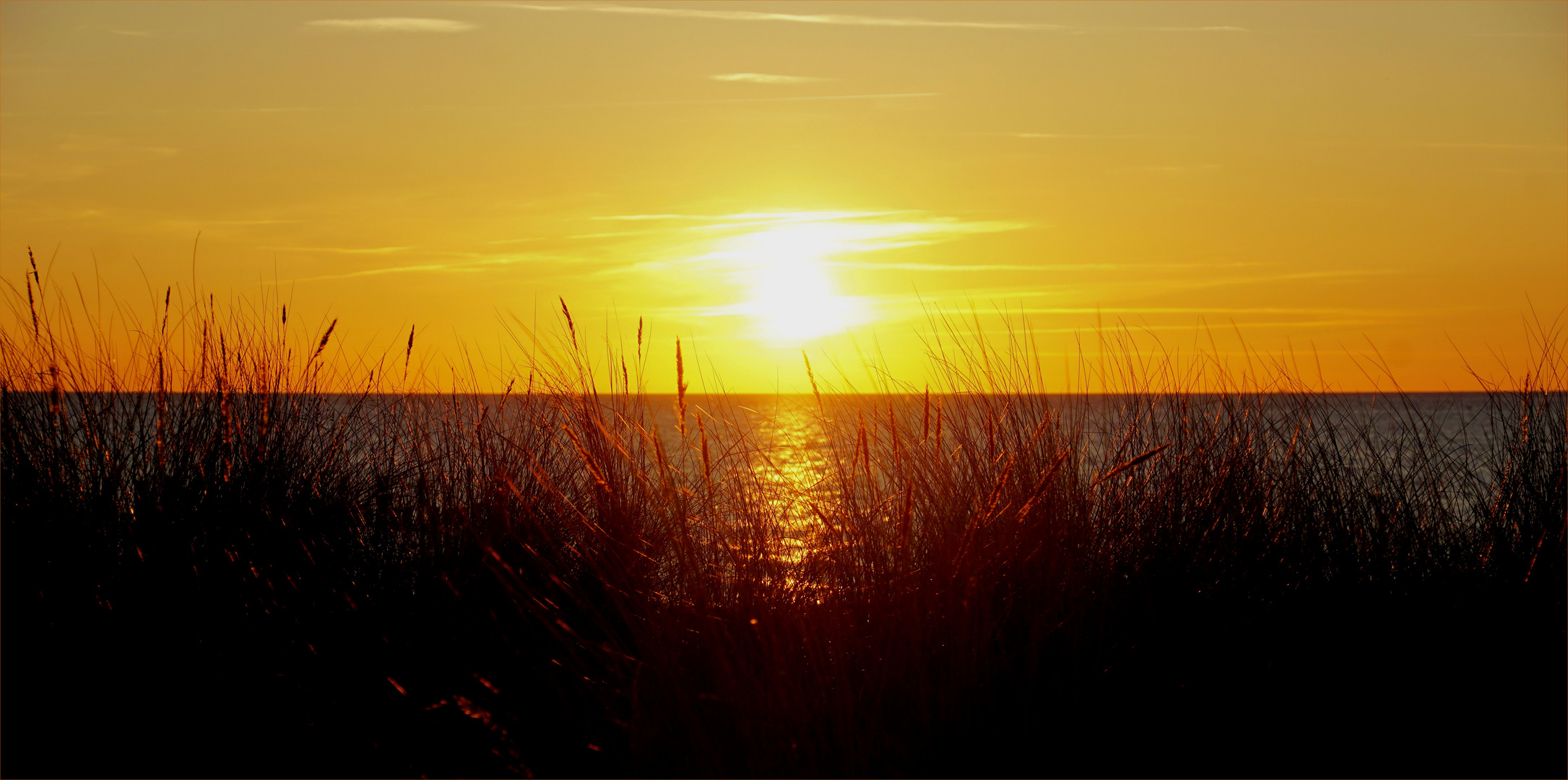 Strandhaferglühen - Zingst 2016