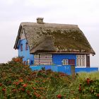 Strandhaus Graswarder III - das Blaue Haus