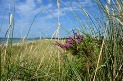 Strandheide 