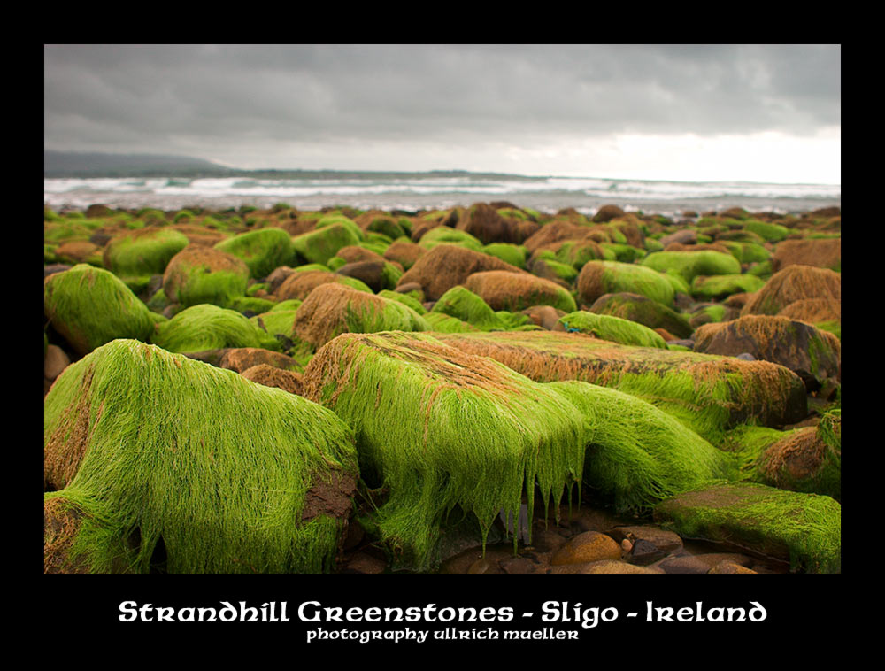 Strandhill Greenstones