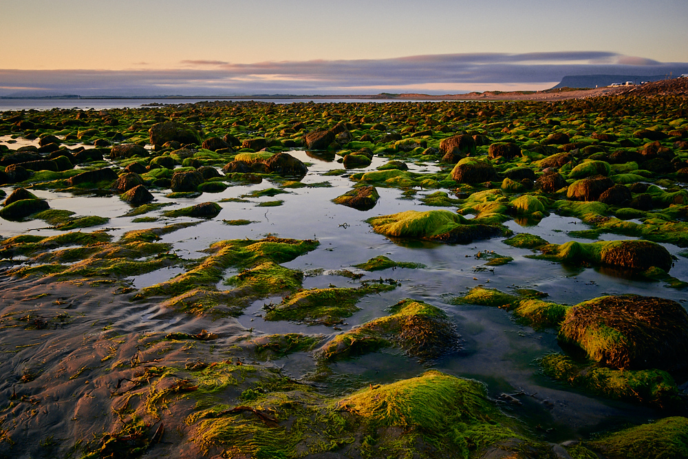 Strandhill - Pebble Beach 