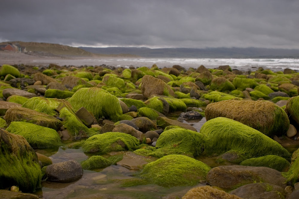 Strandhill - Sligo