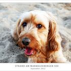 Strandhund