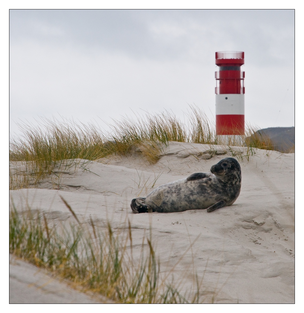 Strandidyll mit Leuchtturm und Kuscheltier