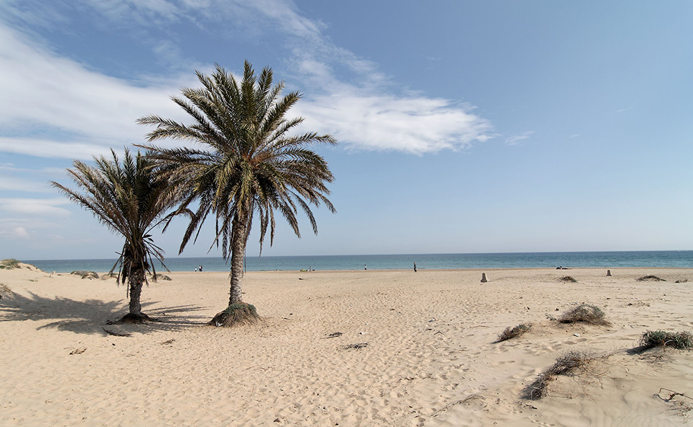 Strandidylle Alicante