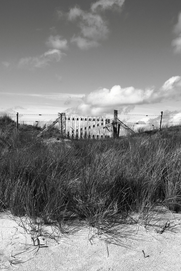 Strandidylle am "Utah Beach"