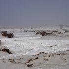 Strandidylle Vitte/Hiddensee