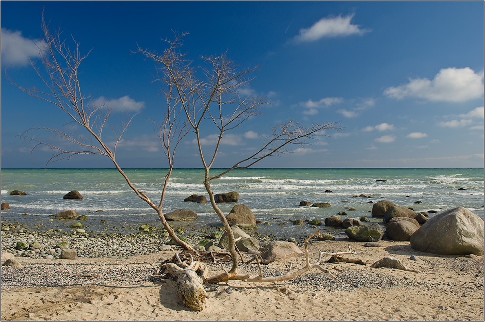 Strandimpression / Møns Klint