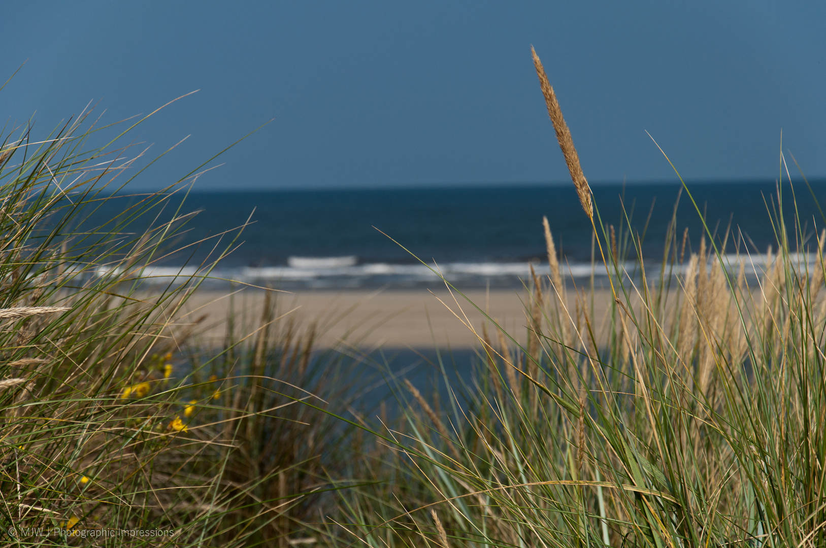 Strandimpressionen 1 - Langeoog