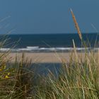 Strandimpressionen 1 - Langeoog