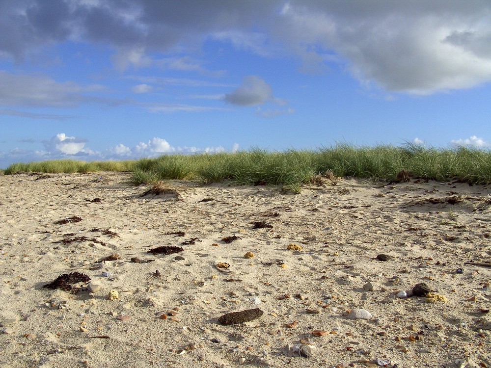 Strandimpressionen auf Föhr