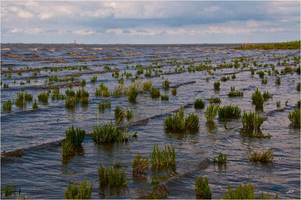 Strandimpressionen von der Nordsee