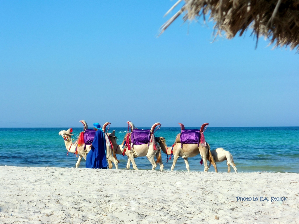 "Strandkarawane" auf Djerba