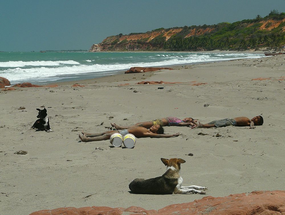 Strandkinder und -Hunde