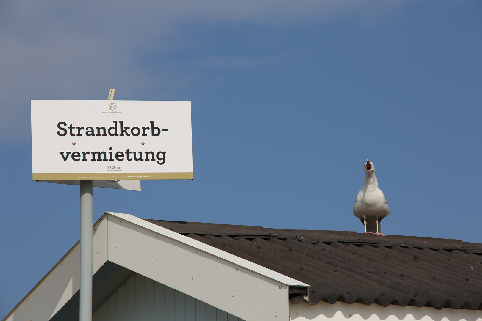 Strandkörbe