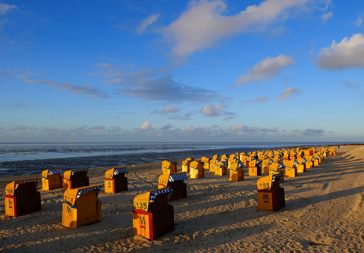 Strandkörbe am Strand von Cuxhaven