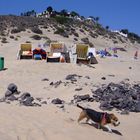 Strandkörbe auf Fuerteventura